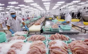 Xuất khẩu thủy sản hướng tới mục tiêu 11 tỷ USD năm 2025