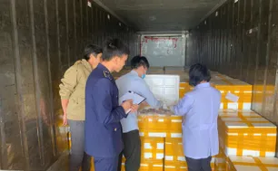 Phát hiện trên 10 tấn cá khoai chứa chất cấm trên đường đi tiêu thụ