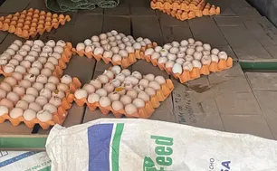 Kiểm tra, tiêu hủy trên 5.000 quả trứng gà không rõ nguồn gốc xuất xứ