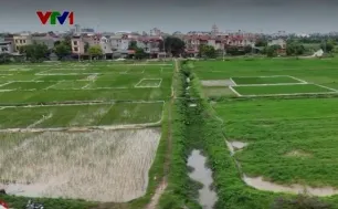 Siết phân lô bán nền từ đất nông nghiệp