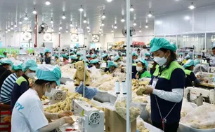 Những chính sách nổi bật có hiệu lực từ tháng 1/2026