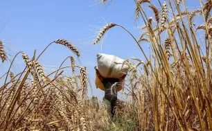 Giá hàng hóa có thể chạm đáy mới vào năm 2026