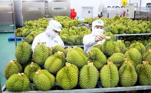 Kỳ vọng xuất khẩu nông lâm thủy sản năm 2026 đạt từ 73 - 74 tỷ USD