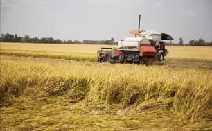 Mỹ tăng cường xúc tiến thương mại nông nghiệp với Việt Nam và một số nước