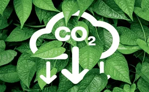 Quy định về sàn giao dịch carbon trong nước