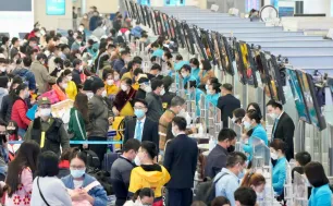 Thị trường vận tải Tết Bính Ngọ: Sự phân hóa rõ rệt giữa các loại hình di chuyển