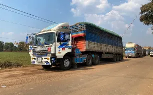 Thủ tướng chỉ đạo tháo gỡ vướng mắc trong triển khai Nghị định 46/2026/NĐ-CP về an toàn thực phẩm