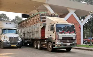 Tạm dừng áp dụng Nghị định số 46 về an toàn thực phẩm đến hết ngày 15/4/2026