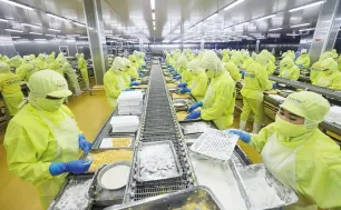 Doanh nghiệp xuất khẩu thực phẩm cần lưu ý quy định đăng ký mới của Trung Quốc