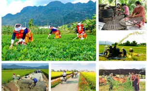 Gỡ nút thắt thể chế, khơi thông nguồn lực an sinh 35.000 tỷ đồng