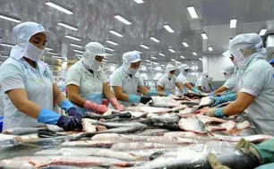 ASEAN - Thị trường tiềm năng cho xuất khẩu cá tra