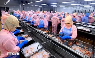 Xuất khẩu nông, lâm, thủy sản 5 tháng tăng trên 9%