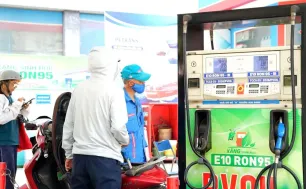 Hầu hết xe xăng tương thích E10, mở rộng dư địa nhiên liệu sinh học