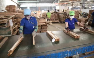 Kinh tế TP Hồ Chí Minh: Tín dụng hỗ trợ doanh nghiệp tăng hơn 14%, gỡ nút thắt tiếp cận vốn
