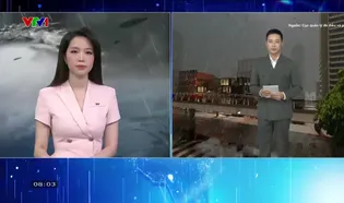 Thời sự 8h VTV1 - 07/9/2024