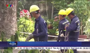 Thời sự 9h VTV1 - 20/9/2024