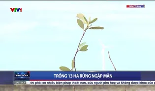 Thời sự 16h VTV1 - 17/10/2024