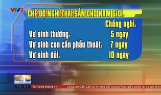 Sáng Phương Nam - 08/11/2024