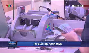 Thời sự 8h VTV1 - 21/11/2024