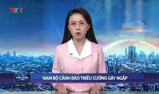 Thời sự 8h VTV1 - 17/12/2024