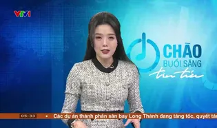 Chào buổi sáng - 11/01/2025