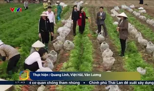 Việt Nam hôm nay - 14/02/2025