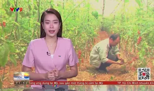 Sáng Phương Nam - 15/02/2025