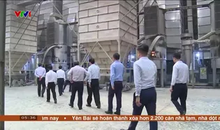 Chào buối sáng - 11/3/2025