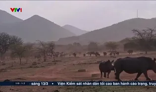 Việt Nam hôm nay - 11/3/2025