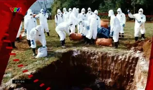 Vấn đề hôm nay - 29/4/2025