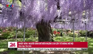 Chuyển động 24h tối - 02/5/2025