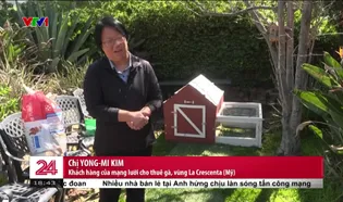 Chuyển động 24h tối - 03/5/2025