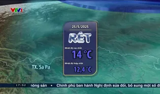 Việt Nam hôm nay - 31/5/2025