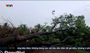 Việt Nam hôm nay - 02/6/2025