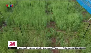 Chuyển động 24h tối - 06/6/2025