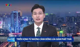 Thời sự 23h VTV1 - 07/6/2025