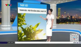 Bản tin thời tiết 19h45 - 07/6/2025