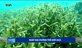 Thời sự 9h VTV1 - 08/6/205