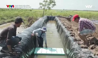 Chân dung cuộc sống: Sống chung với hạn mặn