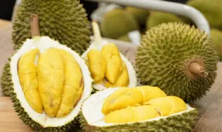 Xuất khẩu lô sầu riêng đầu tiên theo 'luồng xanh' qua cửa khẩu Hữu Nghị