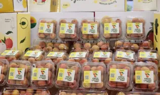 Vụ vải thiều Lục Ngạn 2025 bội thu