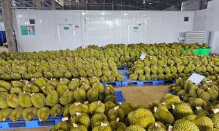 Đặt mục tiêu có 5.000 doanh nghiệp nông nghiệp vào năm 2030