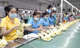Cắt giảm thủ tục, mở lối cho doanh nghiệp bứt phá