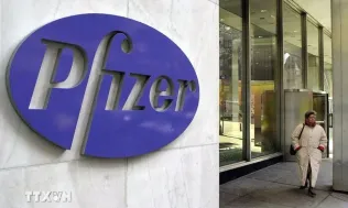 Pfizer chấp nhận giảm giá thuốc để được hoãn áp thuế