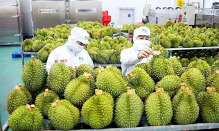 Kỳ vọng xuất khẩu nông lâm thủy sản năm 2026 đạt từ 73 - 74 tỷ USD