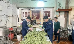 Khởi tố chủ cơ sở sản xuất giò chả dùng hàn the, thu giữ hơn 1,2 tấn thực phẩm vi phạm