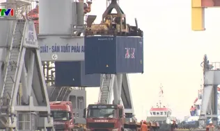 Doanh nghiệp xuất khẩu ứng phó biến động chi phí nhiên liệu