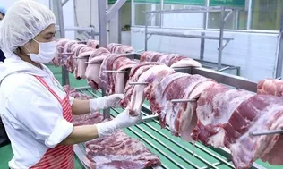 Vận hành sàn giao dịch thịt lợn từ cuối tháng 4