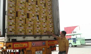 Xuất khẩu qua cửa khẩu Lào Cai tăng hơn 60%, sầu riêng lập kỷ lục