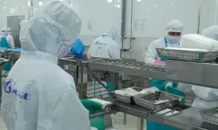 Xuất khẩu nông, lâm, thủy sản đạt gần 36 tỷ USD